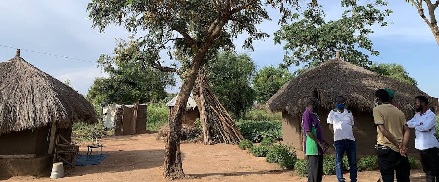 Improving Livelihoods and Soil Fertility Through Agroforestry in Central Africa
